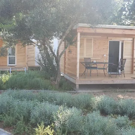 Cremona Kamp alanı *